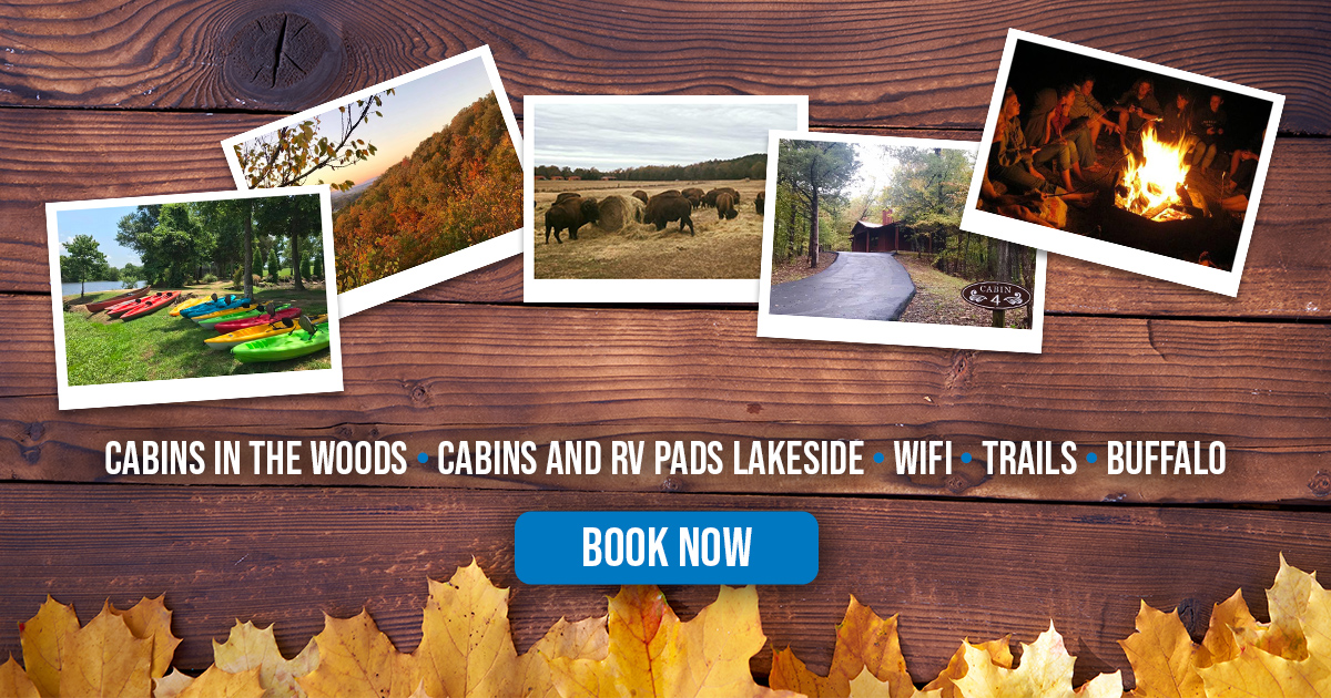 Cabins, Buffalo, RV Sites, and more!